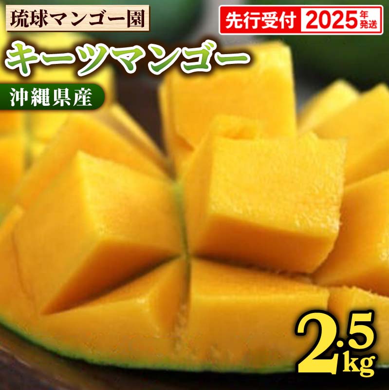 【ふるさと納税】【先行受付】【2025年発送】琉球マンゴー園のキーツマンゴー約2.5kg