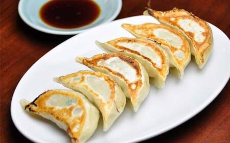 みんみんの餃子120個 （8コ×15パック） 餃子専門店 みんみん みんみん餃子 ギョーザ ぎょうざ ギョウザ 富山 惣菜 おかず 中華 点心 冷凍 冷凍食品 肉加工品 加工品 富山県高岡市 FAD-
