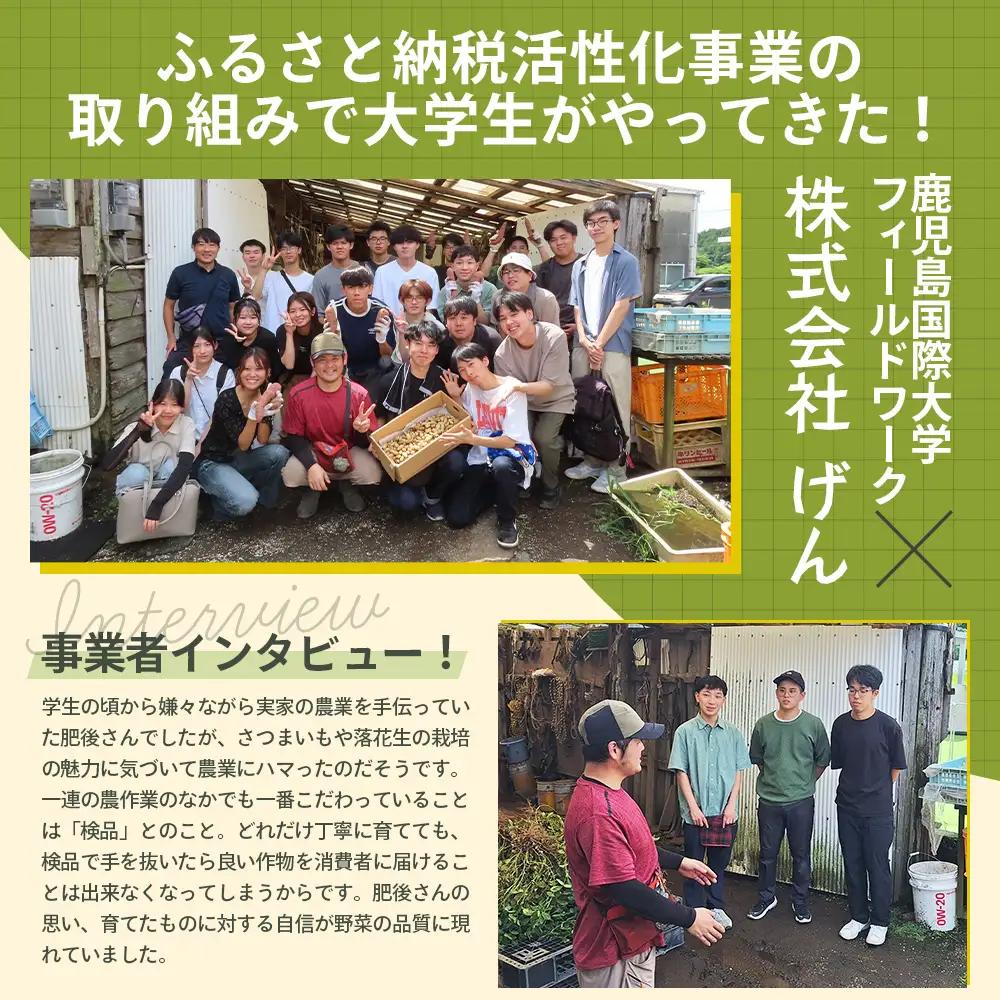【訳あり！】【先行予約：9月中旬配送～】掘りたて さつまいも 紅はるか 10kg (自宅で簡単レシピ付き）FR-208 | 秋の味覚 2026年秋収穫 サイズランダム 家庭用 新物 さつまいも サツマ