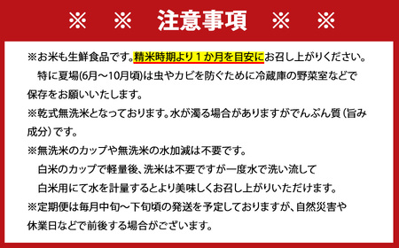 [12回定期便]特A評価！『無洗米さがびより５kg』OB0014
