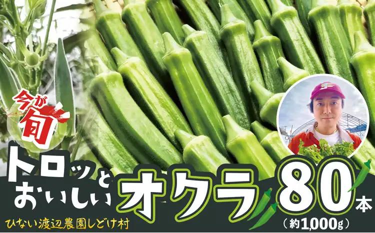 トロッとおいしいオクラ＜80本、約1000g＞　80P3206【ひない渡辺農園しどけ村】