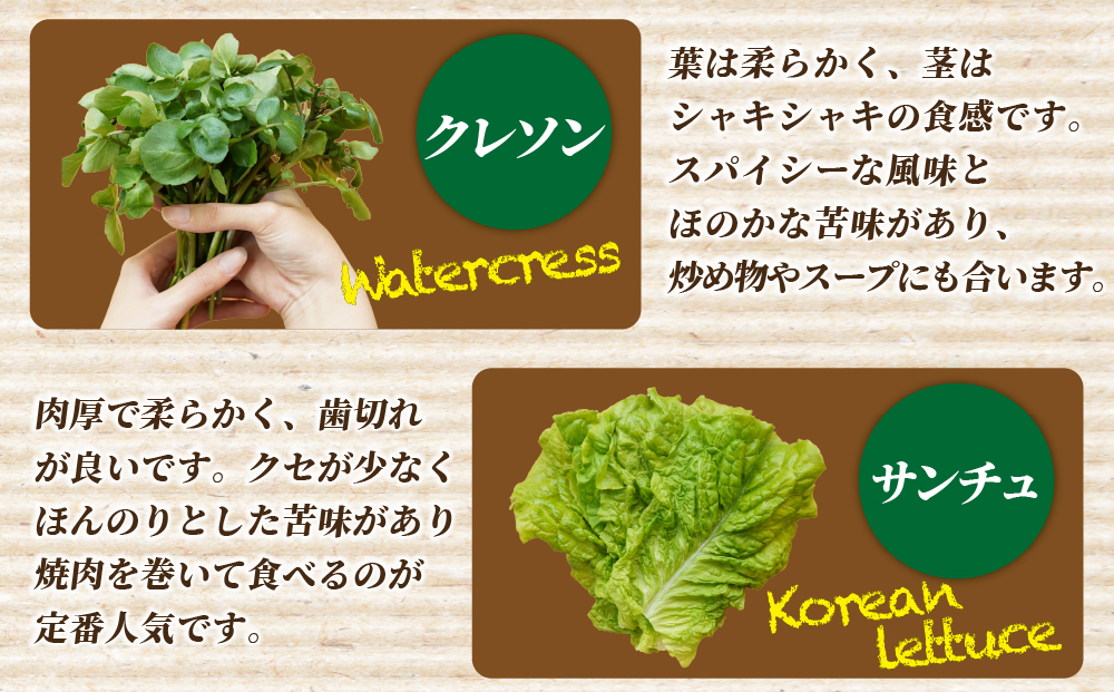 野菜 詰め合わせ リーフレタス サラダ 7種～11種 京都 丹波産 新鮮 旬の葉物野菜セット 小島農園《農薬不使用 京野菜 亀岡産 季節の野菜 産地直送 期間限定 ふるさと納税野菜》