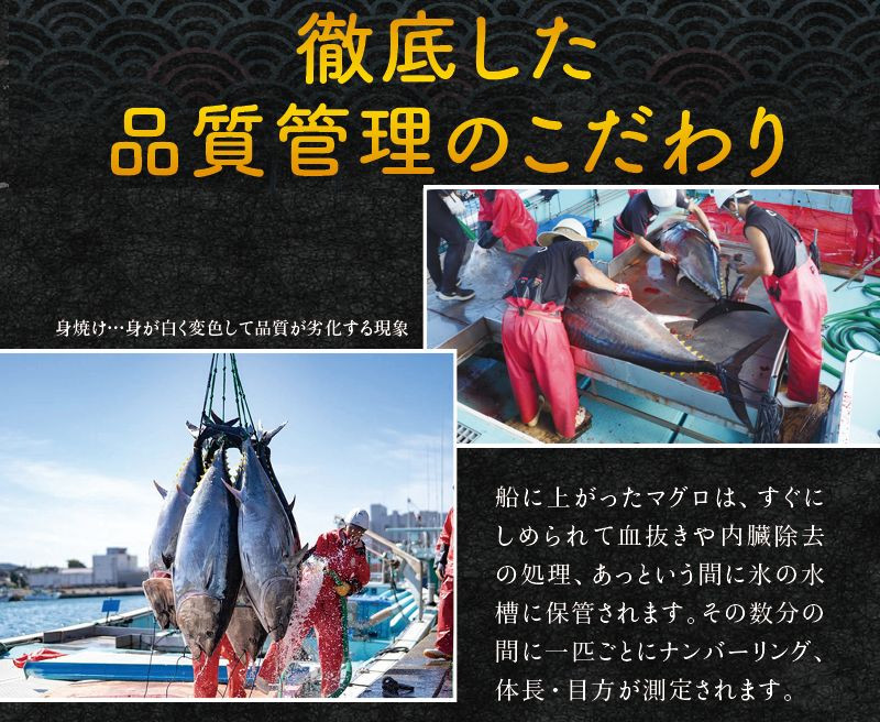 プレミア和歌山認証品 本マグロ（養殖）トロ＆赤身セット　240g【nks113B】