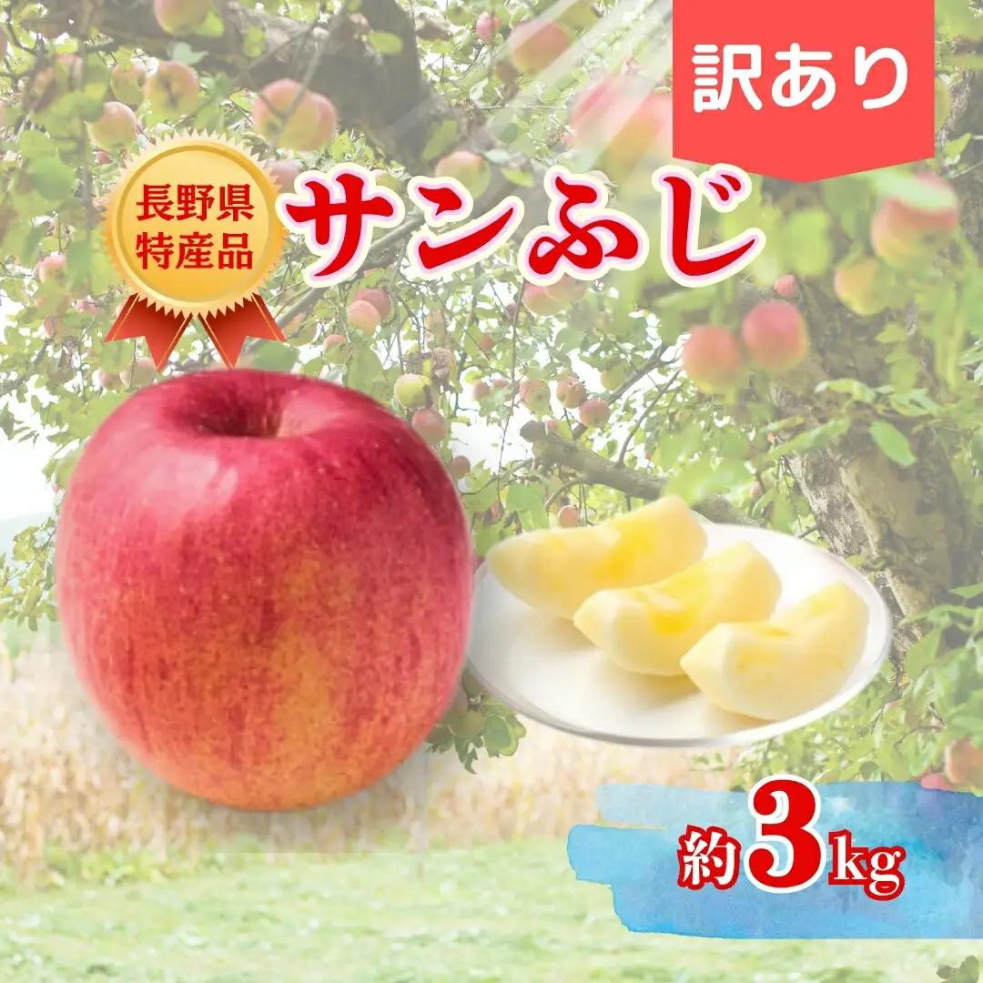 【2026年先行予約】サンふじ 約3kg  訳あり| りんご