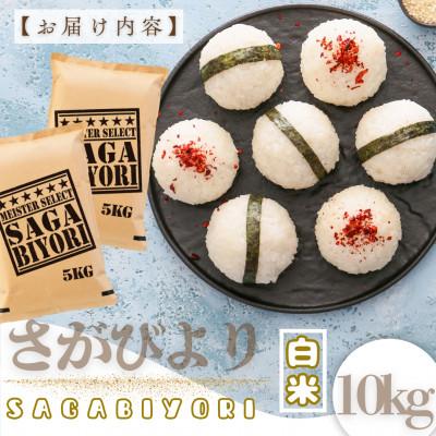 ふるさと納税 大町町 新米7年産『さがびより』白米10kg!(5kg×2袋)特A評価!五つ星お米マイスター厳選!(大町町) |  | 03