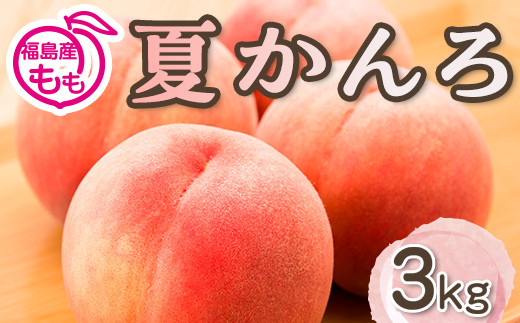 
                  阿部農縁　福島の桃　夏かんろ3kg(10～12玉)　ギフト・贈答用　ふくしまの完熟もも F7X-0049
                