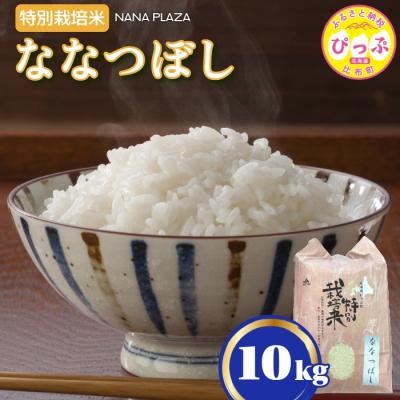 ふるさと納税 比布町 令和7年産 特別栽培米ななつぼし 10kg【ナナプラザ】