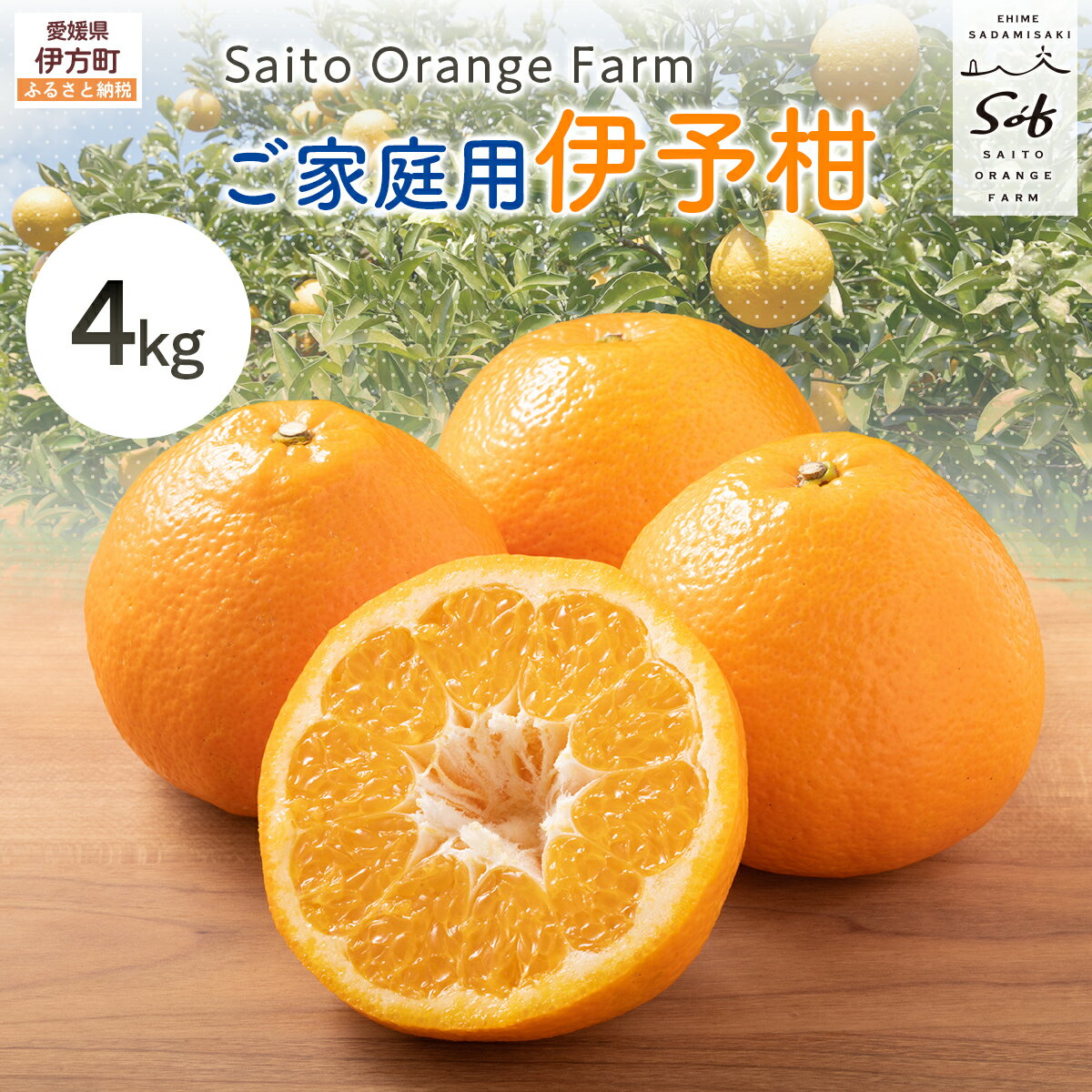 【ふるさと納税】【先行予約】Saito Orange Farm ご家庭用 伊予柑4kg （2027年1月中旬頃より順次発送予定） ふるさと納税 人気 おすすめ 柑橘 みかん ミカン フルーツ 果物 伊予柑　宮内伊予柑 IKTAQ027