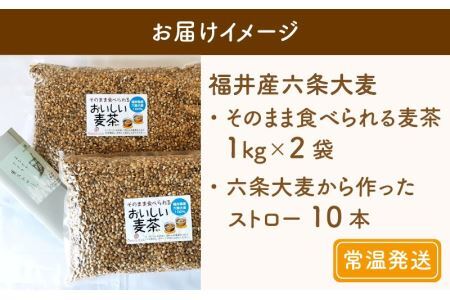 福井産六条大麦そのまま食べられる麦茶とおおむぎママの麦ストローR★環境配慮商品★ [A-034002]