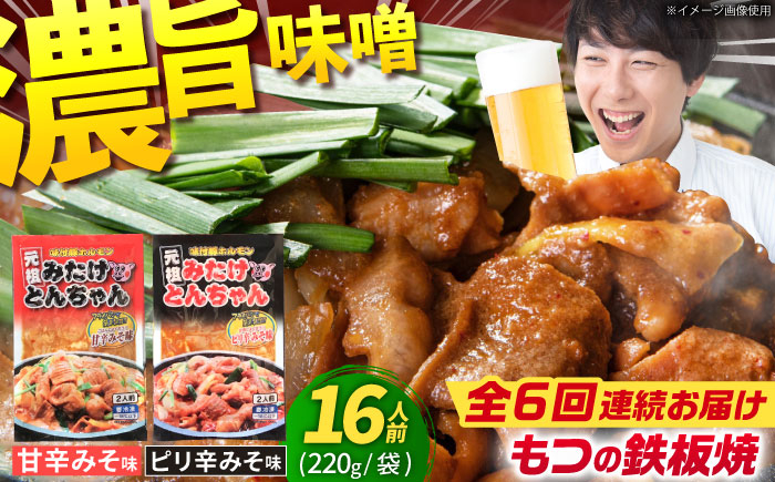 
            【6回定期便】岐阜県産豚もつの鉄板焼き「元祖みたけとんちゃん」甘辛＆ピリ辛 各4袋（16人前） / モツ もつ 白もつ ホルモン / 御嵩町 / 藤よし [AVAA016]
          