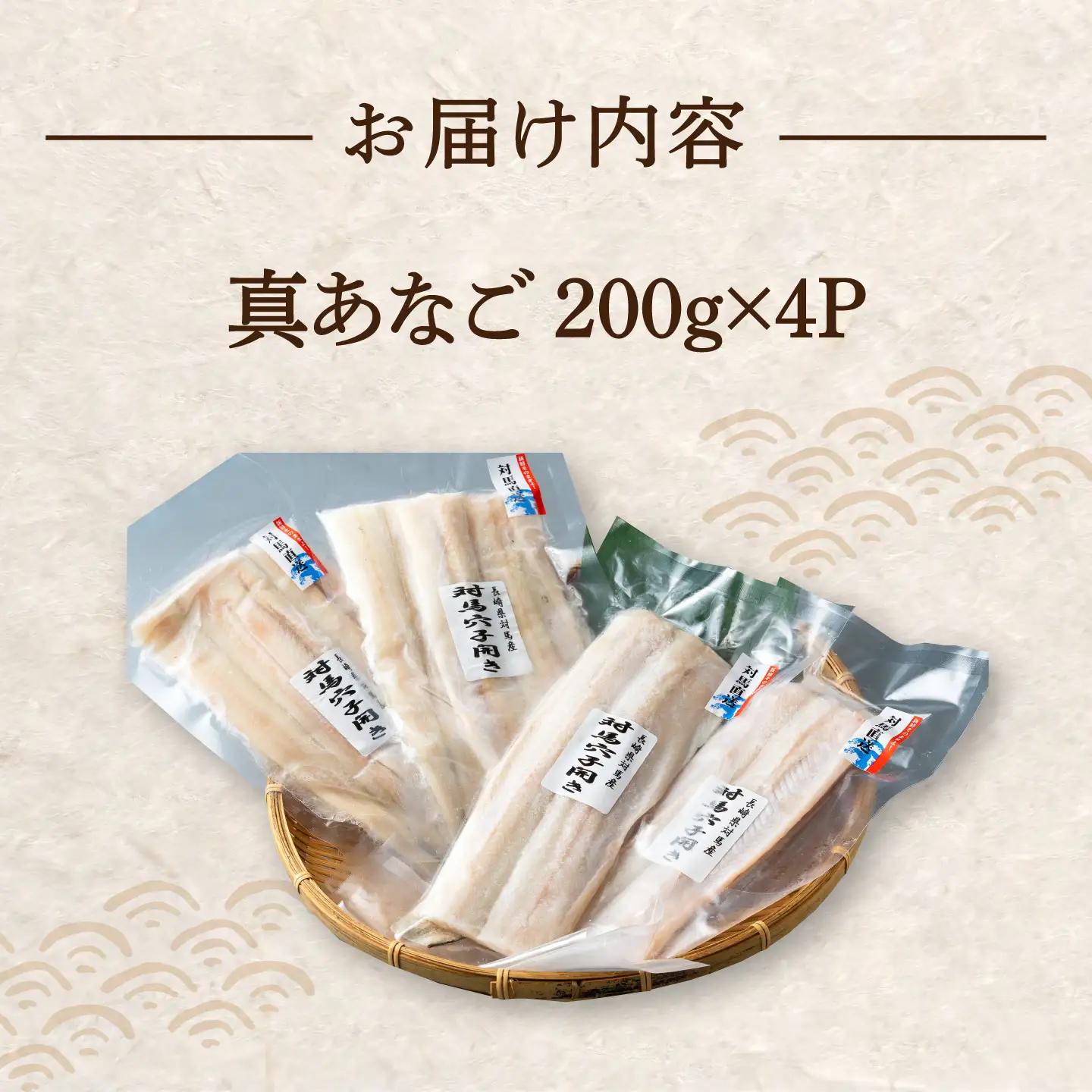 対馬 穴子 開き 800g [WAD012] アナゴ 冷凍 新鮮 あなご 穴子重  