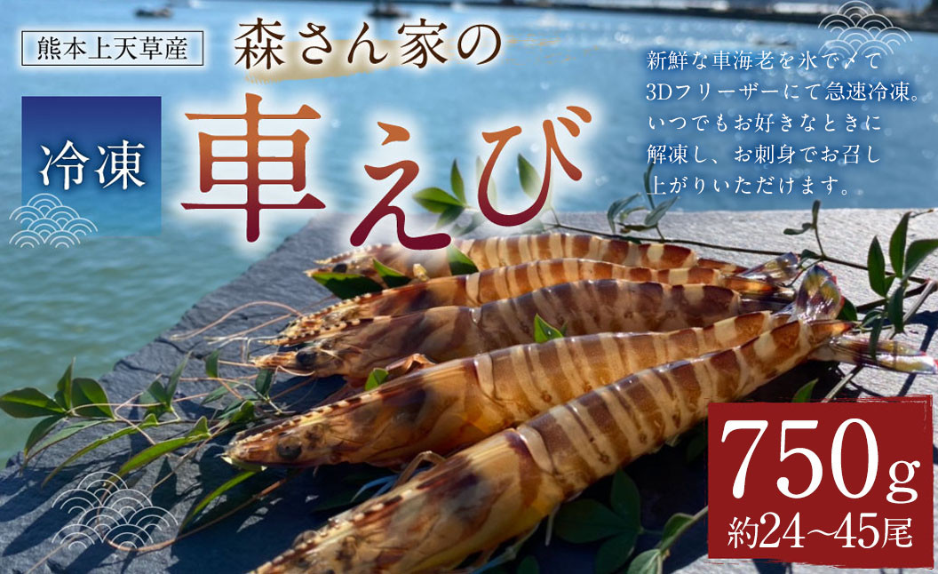 
                  森さん家の冷凍車えび 活き〆冷凍車海老750g（約24～45尾）車海老 くるまえび 車えび 国産 天草の海 冷凍【2027年3月下旬まで順次発送予定】
                