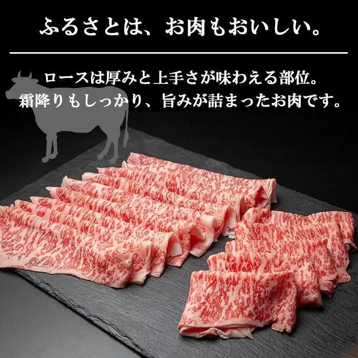 【無地熨斗】新潟和牛 南魚沼産 にいがた 黒毛和牛 ロース スライス 500ｇ 新潟県 南魚沼市｜贈答