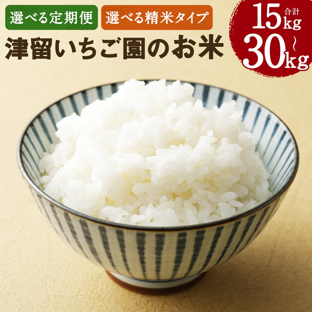 【ふるさと納税】【選べる定期便】津留いちご園のお米 3ヶ月定期便/6ヶ月定期便 白米/7分づき/玄米 選べる精米タイプ 1回につき5kgお届け 定期便 精米 お米 栽培期間中無農薬 九州産 福岡県産 送料無料【2025年11月上旬より発送開始予定】