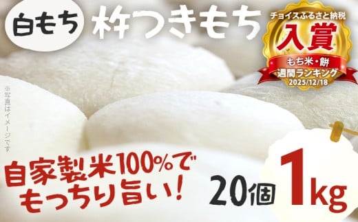 餅 白もち 杵つきもち 20個 1kg  自家製米 ひよくもち米 杵つき 丸餅 お雑煮 おしるこ 焼き餅 焼きもち ぜんざい 福岡県 福岡 九州 グルメ お取り寄せ