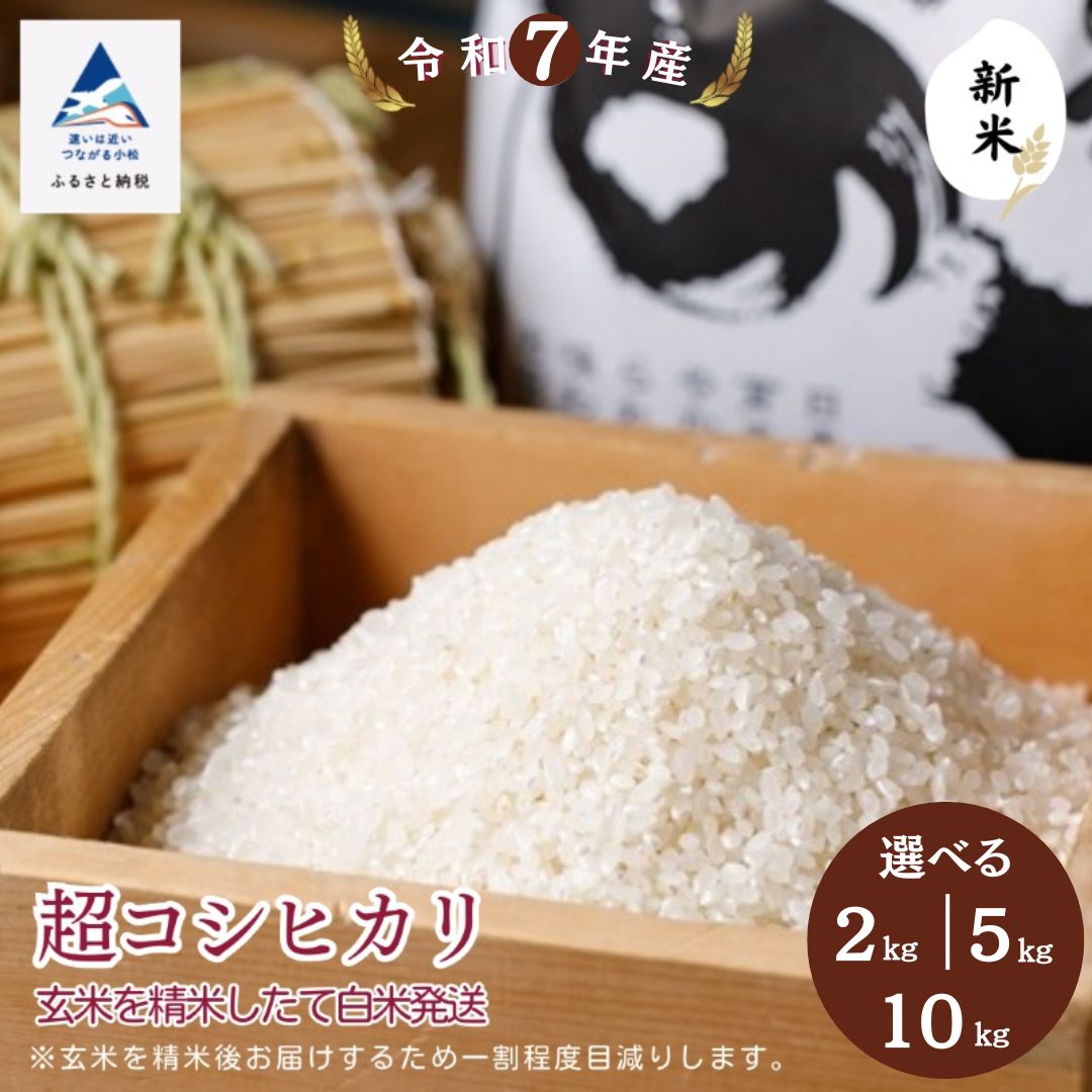 【ふるさと納税】令和7年産 超コシヒカリ 選べる 2kg / 5kg / 10kg 玄米 精米したて白米発送 石川県 小松市 【のむら農産】