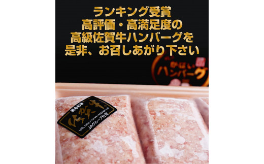 佐賀牛入りがばいハンバーグ150g×10個 161-J1480