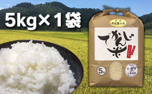 【令和7年産 2025年9月以降順次発送】丹波篠山の地醤油漬、佃煮セット　令和6年産 でかんしょ米5kgと実山椒・山蕗