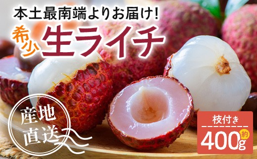 
                  【2027年先行予約】本土最南端よりお届け！希少生ライチ（約400g）TE-1｜鹿児島県 南大隅町
                