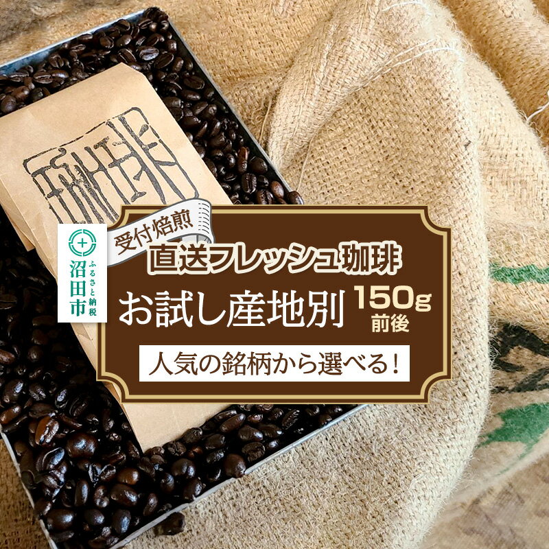 【ふるさと納税】《受付焙煎》豆／粉・銘柄を選べる 直送フレッシュ珈琲 お試し産地別150g前後 珈琲倶楽部 沼田店