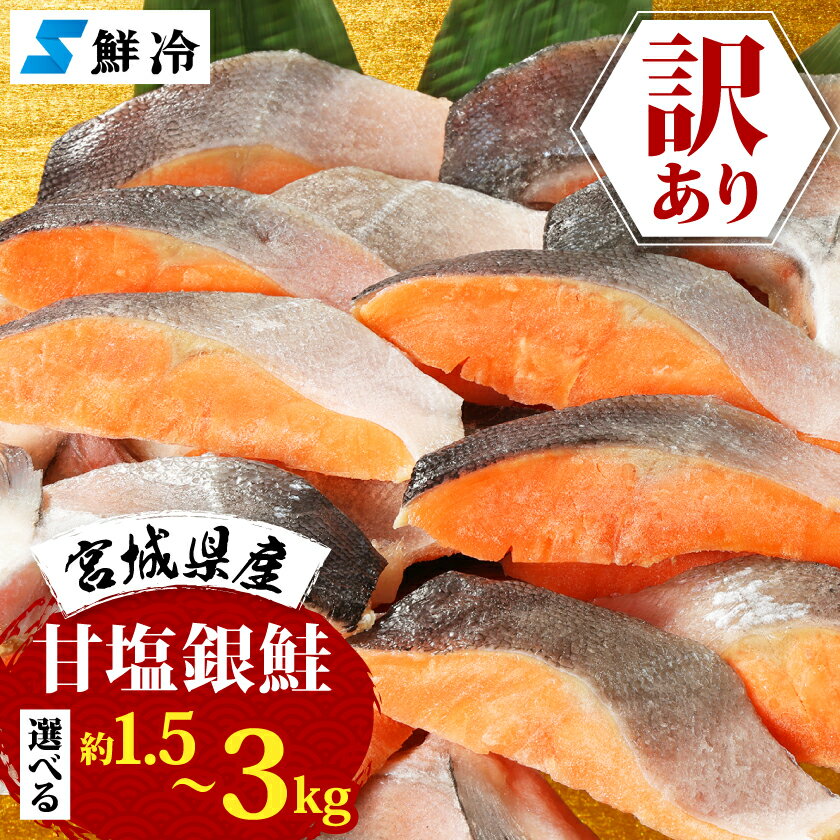 【ふるさと納税】訳あり　銀鮭　宮城県産　甘塩　切身(約1.5kg / 約3kg)_ 訳あり 銀鮭 さけ サケ 魚 海鮮 切身 甘塩 美味しい 人気 宮城県産 大容量 【配送不可地域：離島】【G1525306】