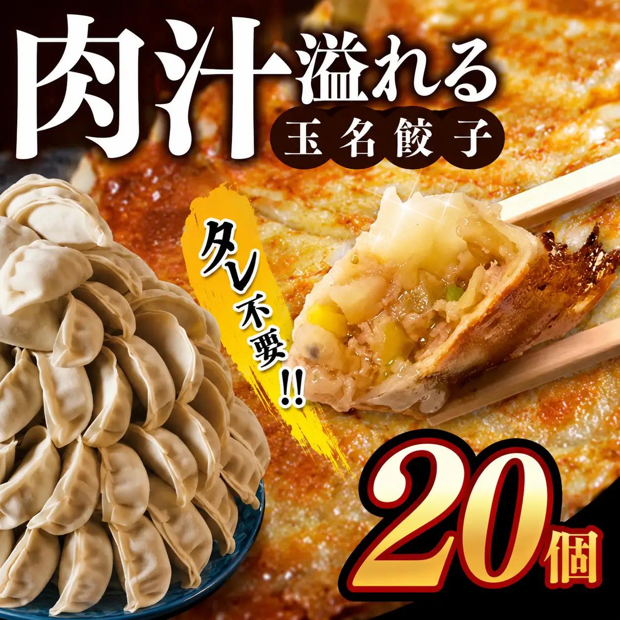 玉名餃子 20個