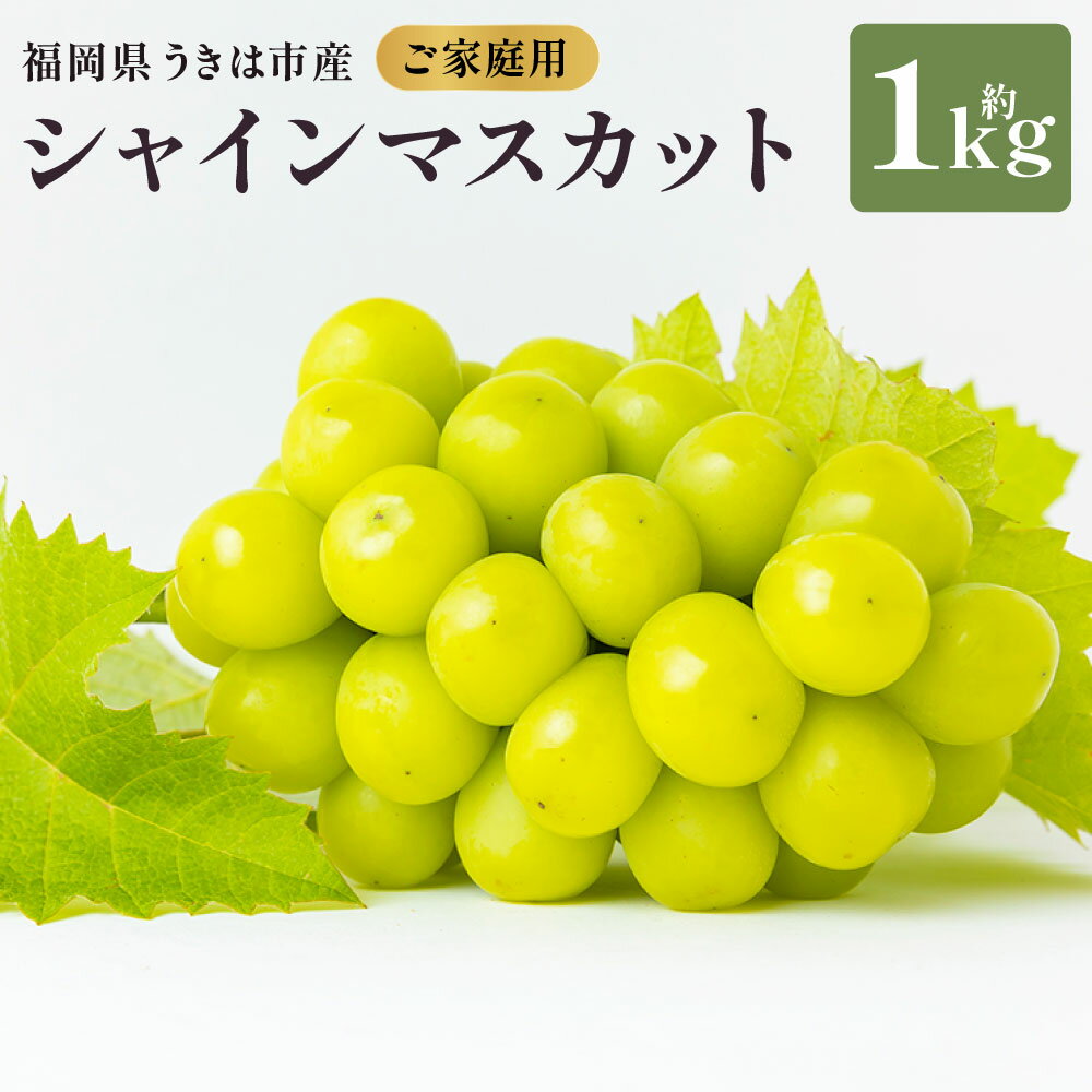 【ふるさと納税】【先行予約】 やりみず農園 農家応援！ ご家庭用 シャインマスカット（約1kg） 【2026年8月下旬～9月上旬発送予定】 シャインマスカット ぶどう ブドウ 葡萄 くだもの 果物 フルーツ 果実 果汁 送料無料 福岡県 うきは市