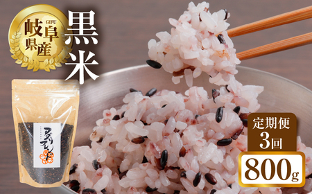 【定期便3回】黒米 800g (400g × 2袋）米 こめ ごはん 健康 古代米 岐阜県産 本巣市 お米 美容 健康 おにぎり 弁当 おいしい 旨味 ぷちぷち 和食 アグリフレンドホリグチ 3か月