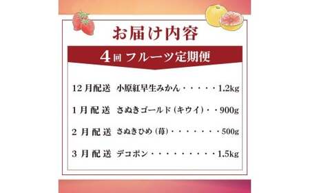 旬のフルーツ定期便 4回 Bコース フルーツ 定期便