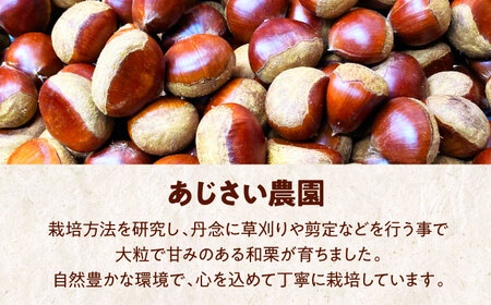 【先行予約】【9月中旬から順次発送】 愛媛県産高級和栗 大粒生栗 2kg 国産甘栗 甘栗 生栗 くり 和栗 愛媛県大洲市/あじさい農園 [AGAE008]国産甘栗 甘栗 生栗 くり 和栗  あまぐり 
