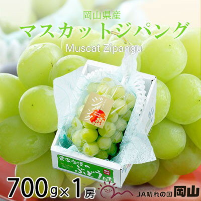 【ふるさと納税】【先行予約】岡山県産　マスカットジパング　700g×1房【配送不可地域：離島・北海道・沖縄県】【1351807】