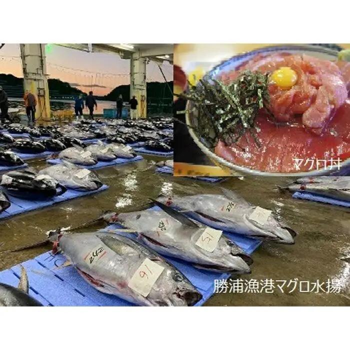 【那智勝浦町、白浜町、上富田町】JTBふるさと旅行券（900,000円分）有効期間5年 | 予約 宿泊 観光 体験 温泉 ホテル 旅館 チケット 子供 子連れ カップル 家族 店頭 電話 那智勝浦