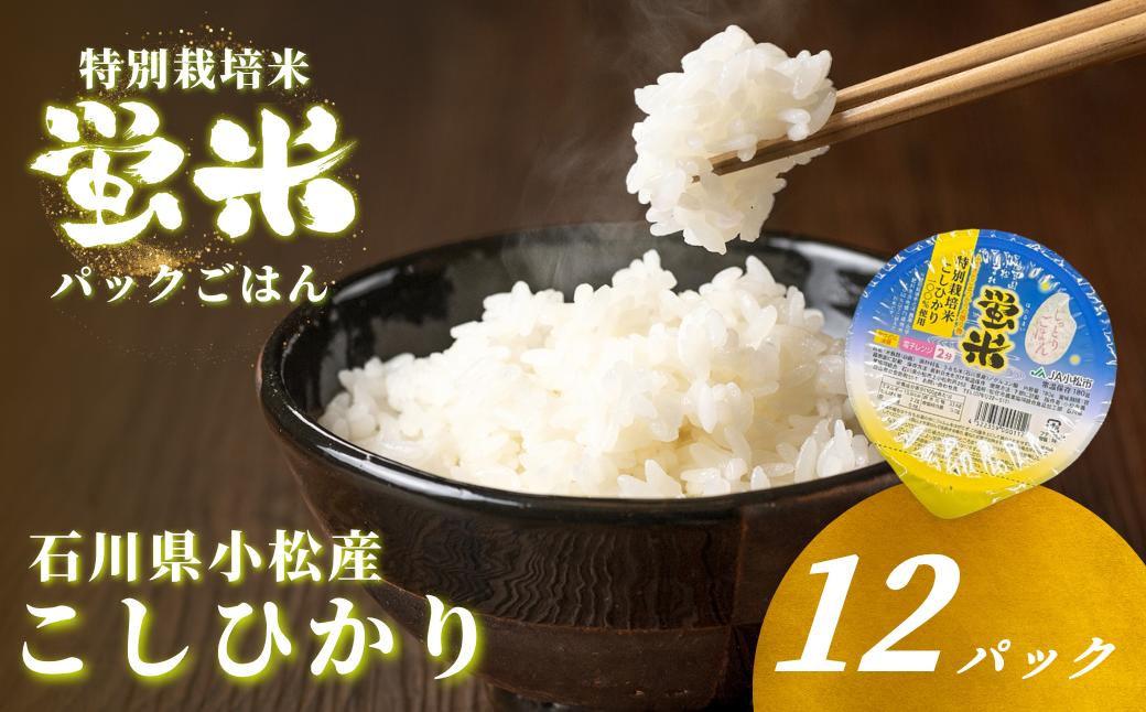 蛍米 パックごはん12個入り レトルトご飯 米 お米｜石川県 小松市 ＪＡ小松市（経済課）