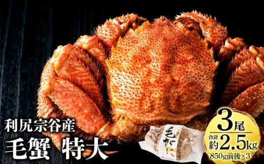 北海道 利尻・宗谷産 毛ガニ 特大サイズ（850g前後） 3尾セット＜利尻漁業協同組合＞
