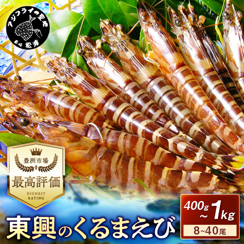 【ふるさと納税】＼発送時期が選べる／【先行予約】【宅配BOX不可】東興のくるまえび 400g 600g 800g 1000g 11月下旬～12月発送 1月～2月上旬発送 ふるさと納税 くるまえび 車えび 活き車えび えび 贈答用