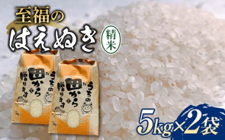 令和6年 【先行予約】 至福のはえぬき 10kg（5kg×2） 米 お米 おこめ 山形県 新庄市 F3S-2052