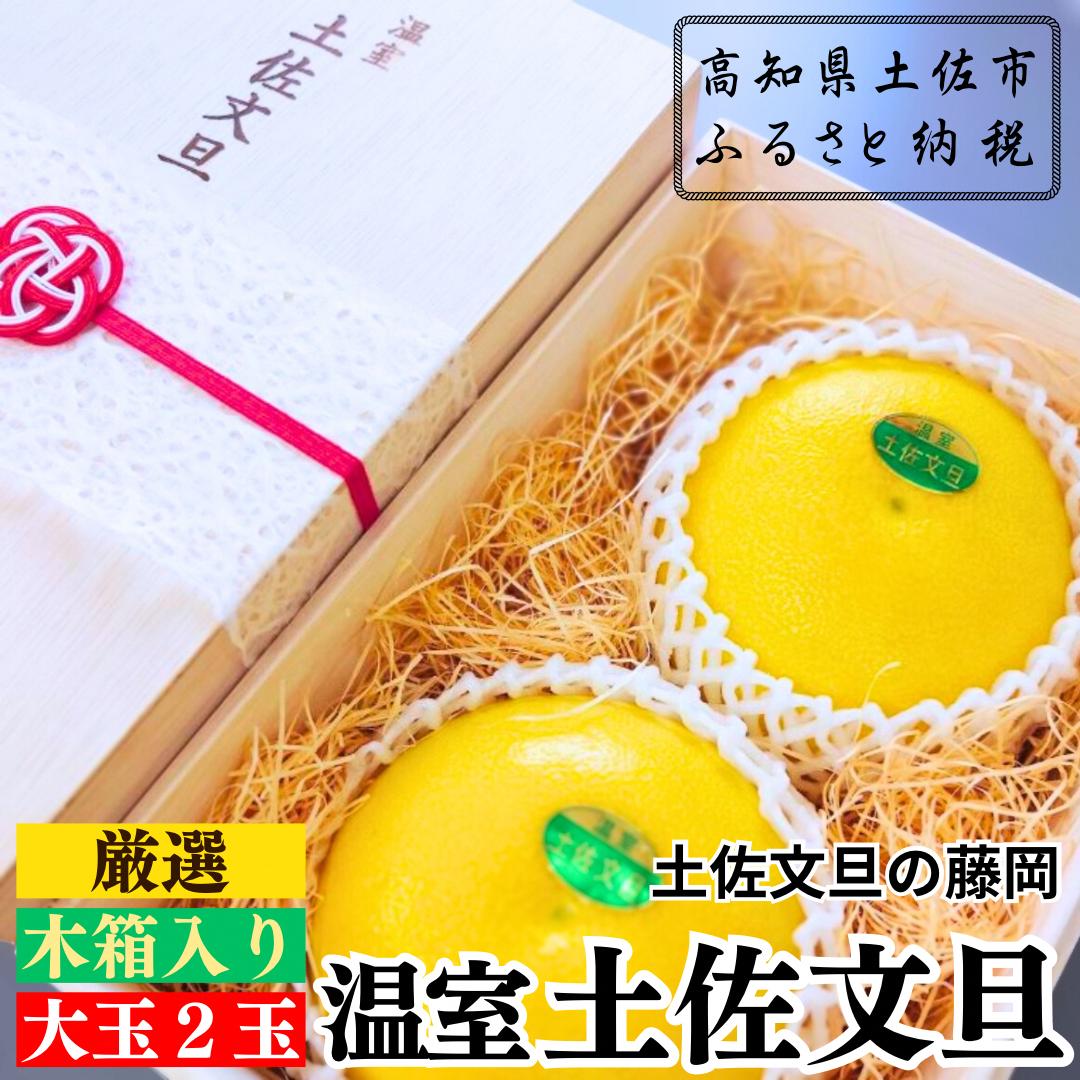 
                  【先行予約】厳選 温室土佐文旦  大玉 2玉 〈贈答用木箱入り〉約600g×2個〈2026年12月上旬から発送〉 /ぶんたん ブンタン フルーツ 柑橘 みかん 果物 くだもの 土佐文旦の藤岡 旬 プレゼント ギフト 贈答 贈り物【土佐文旦の藤岡】 [BQBJ003]
                