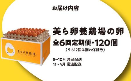 卵の黄身が掴めるほどの新鮮さ 美ら卵養鶏場の卵 120個【6ヶ月定期便】