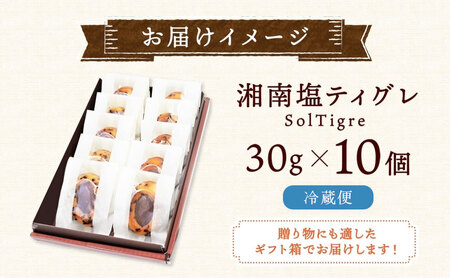焼菓子 塩 ティグレ 10個 フランス 焼菓子