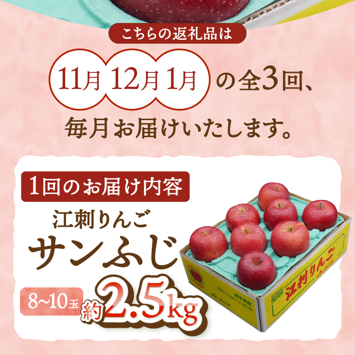 奥州市りんご定期便 ・3回(11月~翌年1月)江刺りんご「サンふじ」 約2.5kg(8-10玉) [AQ096]