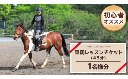 
乗馬レッスン１回コース（45分） 乗馬 トレッキング 体験チケット アウトドア [DE008sa]
