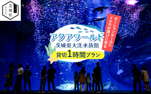 アクアワールド茨城県大洗水族館　貸切1時間プラン(オーシャンホールにイルカが遊びに来る)【配送不可地域：離島・沖縄県】
