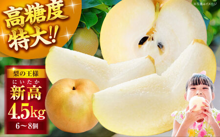 【先行予約】【10月上旬から順次発送】特大新高 梨4.5kg（6個から8個入り） 愛媛県大洲市/幸野観光なし園  梨 なし ナシ [AGBD002] 梨 なし ナシ