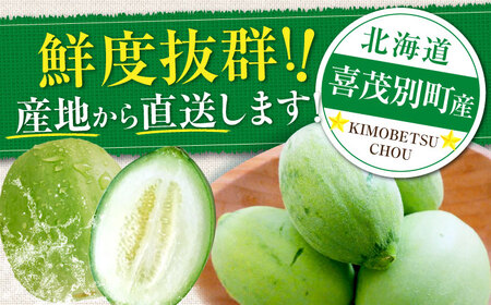 【7月下旬以降順次発送】　摘果メロン 1.8kg　《喜茂別町》【久保田農園】メロン 子メロン ベビーメロン 漬物 野菜 旬 果物 先行予約 フルーツ[AJAM012]