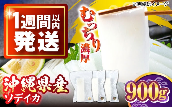 冷凍セーイカ (そでいか) 900g (300g ×3パック) 沖縄市 / 沖縄市漁業協同組合 パヤオ直売店[BCDZ008]
