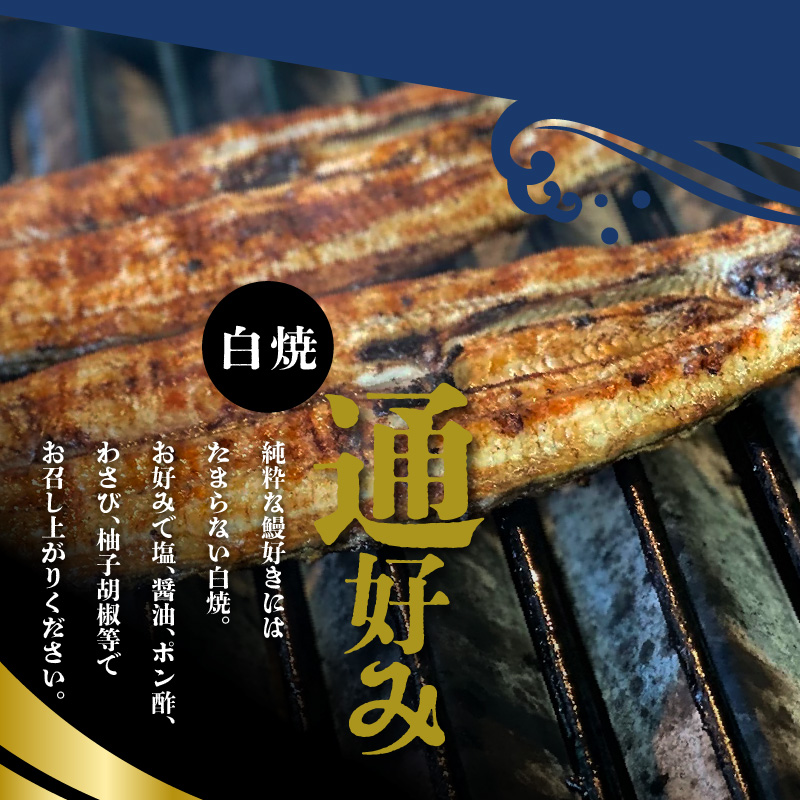 うなぎの白焼　2尾セット（特大サイズ　一尾　170g～200g）