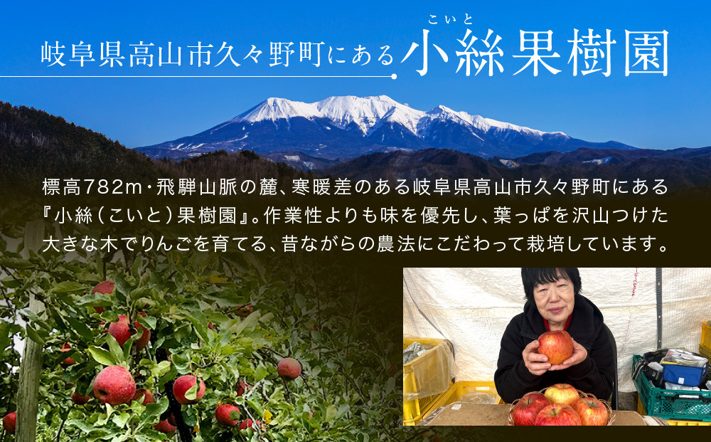 飛騨高山のすりおろし りんごジュース 180ml瓶×30本 | すりおろし果汁 飛騨りんご リンゴ 林檎 果樹園 じゅーす 飛騨高山 小絲果樹園 SH006