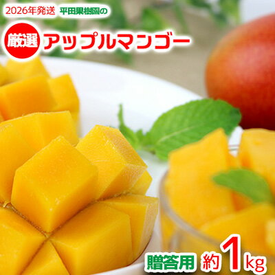 【ふるさと納税】【2026年発送】平田果樹園の厳選アップルマンゴー贈答用（約1kg） アーウィン 果物 甘い 夏 濃厚 ギフト Mango ランキング 完熟 お気に入り 美味しい 人気 おすすめ フルーツ 沖縄県 先行予約 食品 デザート 産地直送 送料無料
