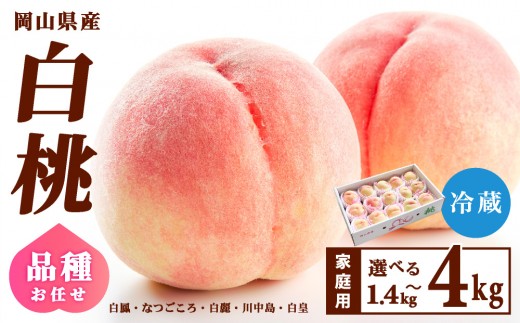 
                  【家庭用】岡山県産 旬の桃 白桃 品種おまかせ 1.4kg～4kg
                