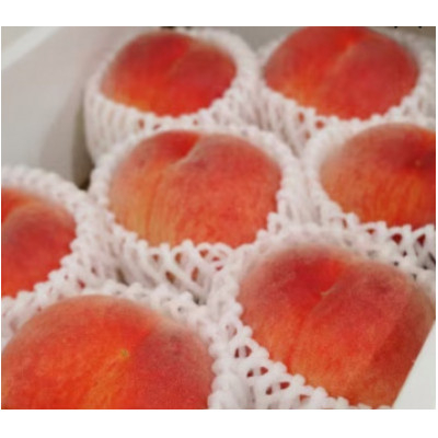 
            ＜2025年度先行受付＞徳島の桃　happeach　糖度13度以上　2kg(7個入り)【1612305】
          